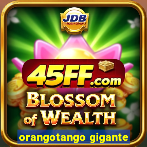 orangotango gigante